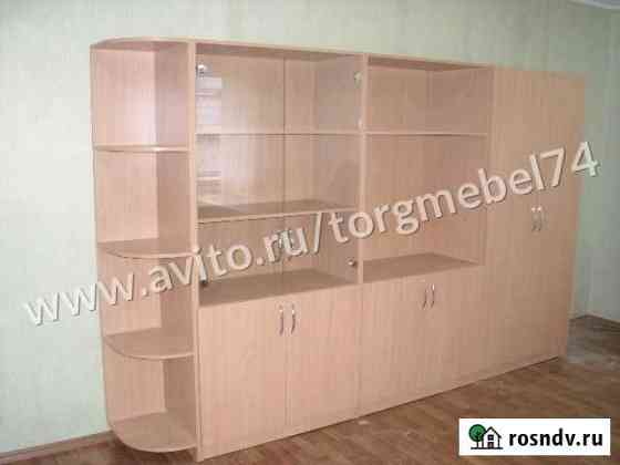 Шкаф для документов с дверьми Челябинск