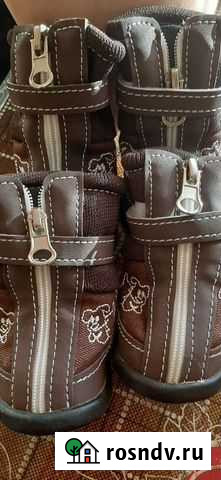 Обувь для собак Бузулук - изображение 1