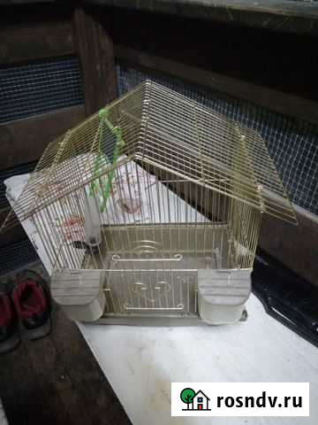 Клетка Большие Вяземы - изображение 1