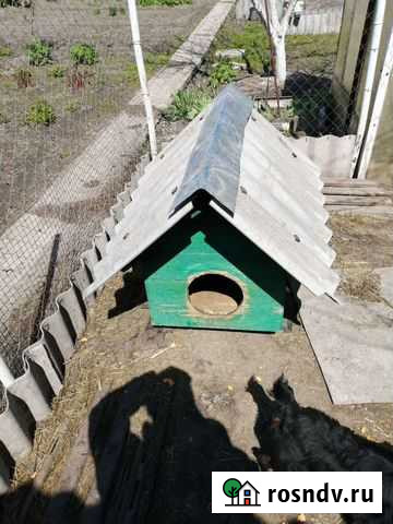 Будка Маршала Жукова - изображение 1