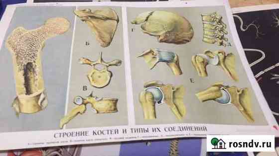 Наглядное пособие Иркутск