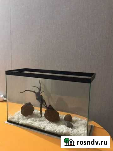 Аквариум Красноярск - изображение 1