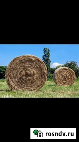 Солома в рулонах, овсянка Унеча - изображение 1