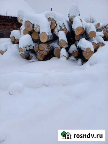 Берёза Яшкино - изображение 1