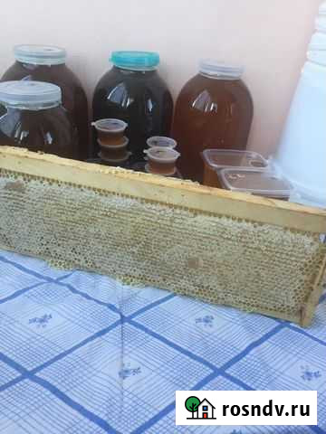 Медочек Севастополь - изображение 1