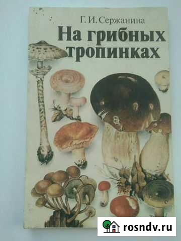 Грибы справочник Тверь - изображение 1