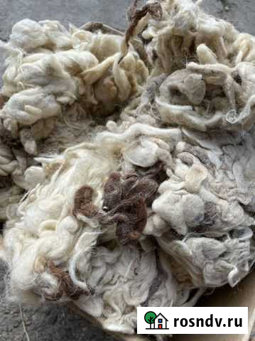 Шерсть овечья Казанская - изображение 1