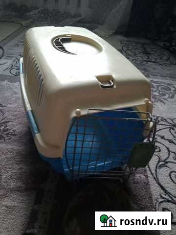 Сумка для переноски кошек+ ножницы и чесалка шерст Зерноград - изображение 1