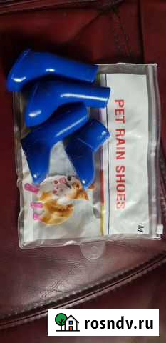 Башмачки для маленькой собаки обувь резиновая Ульяновск - изображение 1