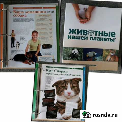 Журнал Томск - изображение 1