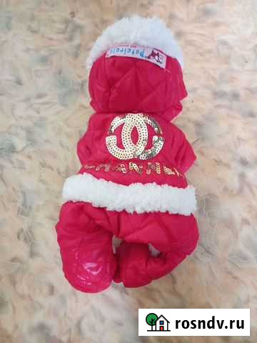Одежда для собак мелких пород Оленегорск - изображение 1