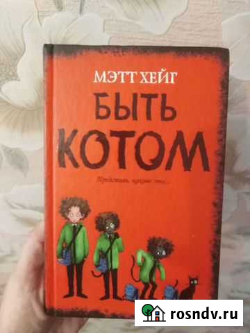 Быть котом Калуга - изображение 1