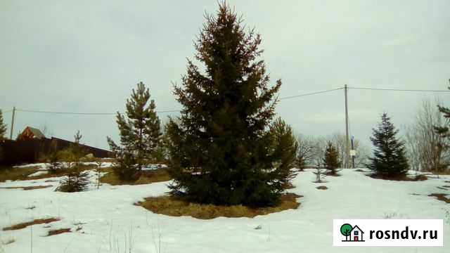 Приму грунт Кириллов - изображение 1