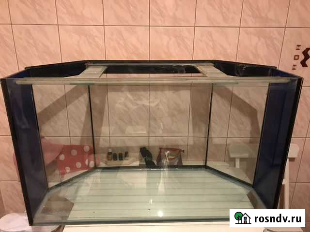 Аквариум Петрозаводск - изображение 1