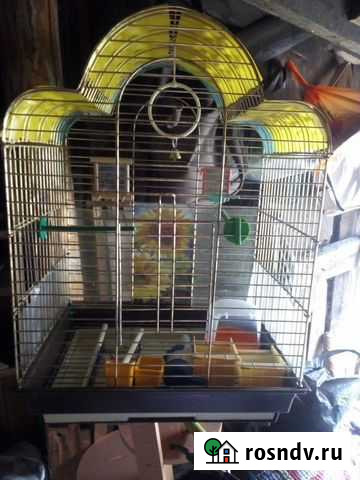 Клетка Ирбит - изображение 1