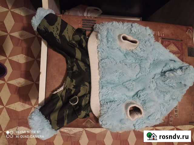 Комбинезон для маленькой собачки Новокузнецк - изображение 1