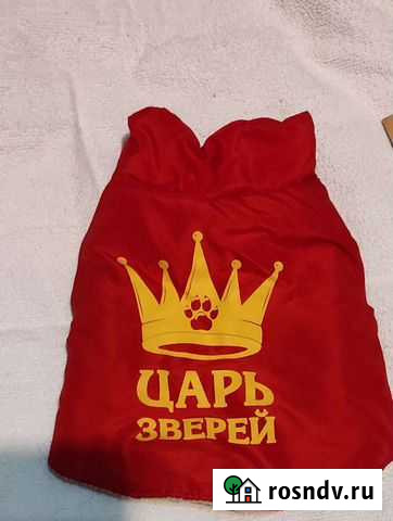 Жилетка для собачек утепленная Кострома - изображение 1