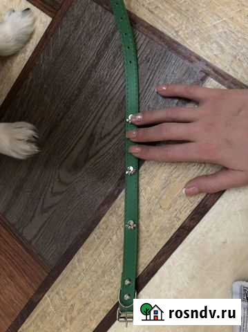 Ошейник для собак Топки - изображение 1