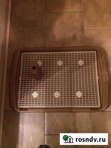 Туалет для собакtriol со столбиком.Почти не пользо Ярославль - изображение 1