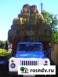 Сено в тюках Сясьстрой - изображение 1