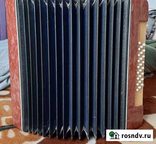 Гармонь беларусь Кунгур - изображение 1