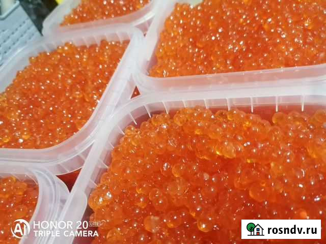 Икра красная (горбушовая) Петропавловск-Камчатский - изображение 1