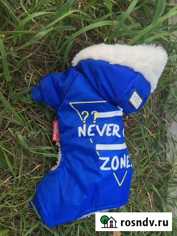 Комбинезон для собаки Ярославль - изображение 1