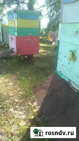 Мед Когалым - изображение 1