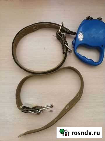 Ошейник, рулетку купили Саратов - изображение 1