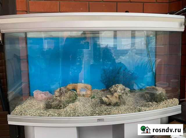 Аквариум фильтр украшения натур камни Краснодар - изображение 1