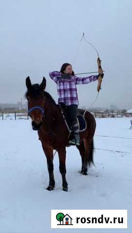 Катание на лошади, фотосессии Казань - изображение 1