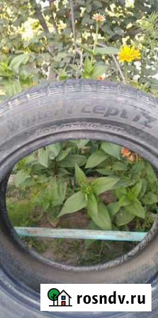 Hankook 205/55 R16 91 Солянка - изображение 1