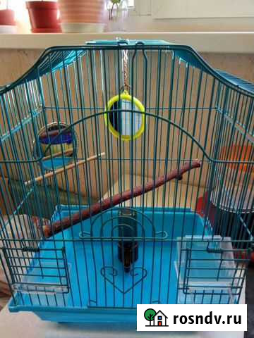 Клетка Кингисепп - изображение 1