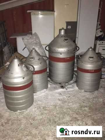 Сосуд дьюара Санкт-Петербург - изображение 1