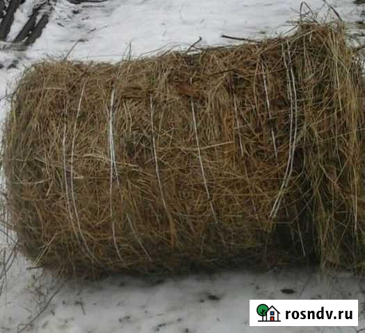 Сено для животных Волоколамск - изображение 1