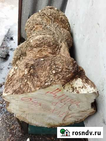 Кап клена,слеб,изделия из древесины Липецк - изображение 1