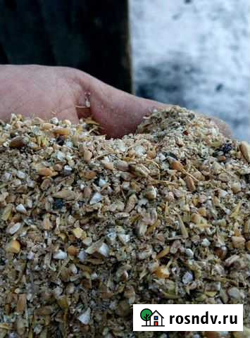 Комбикорм зерносмесь Тбилисская - изображение 1