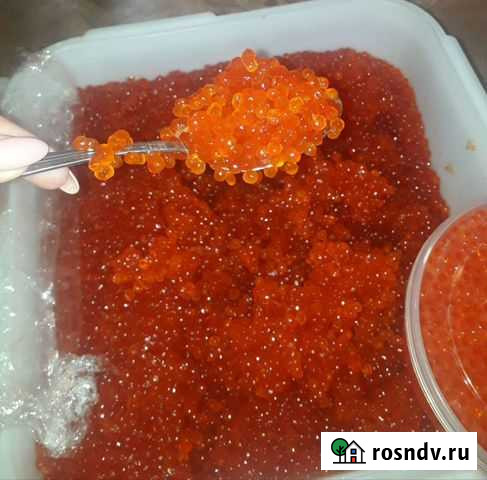 Красная икра 1кг Чита - изображение 1