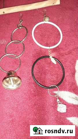 Для попугаев Шадринск - изображение 1