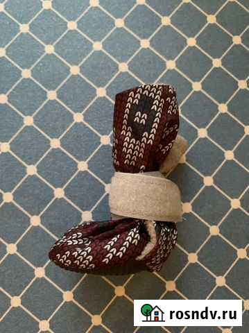 Ботинки для собак osso Fashion EVA Омск - изображение 1