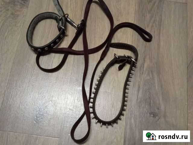 Поводок ошейник для собак Барнаул - изображение 1