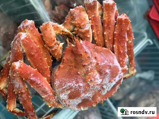 Краб-волосатик, камчатский краб Дмитров - изображение 1