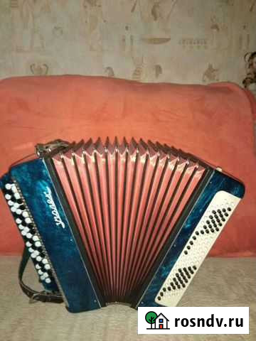 Баян Уголёк Новосибирск - изображение 1