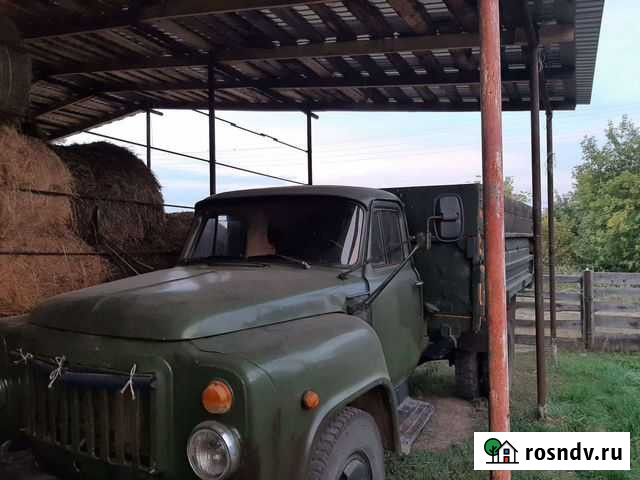 Лошадь Аксубаево - изображение 1