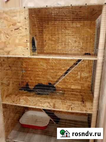 Клетка вольер Елабуга - изображение 1