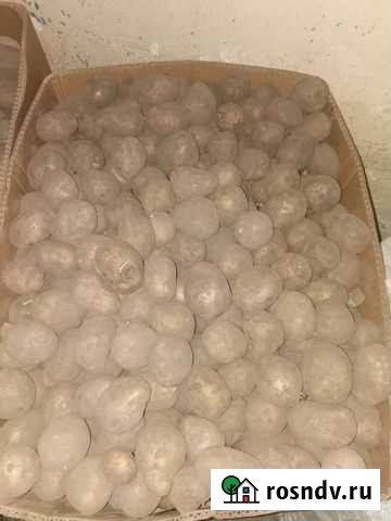 На корм животным Белоомут - изображение 1