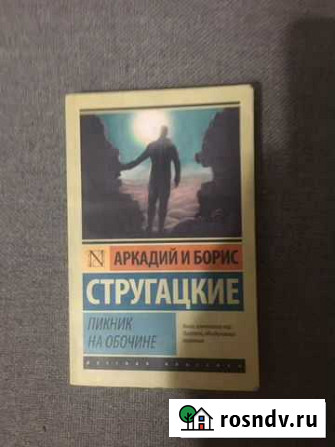 Пикник на обочине Моршанск - изображение 1