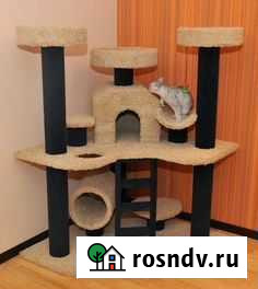 Для кошек,вилла,спорт/городок и дом/зона Хабаровск - изображение 1