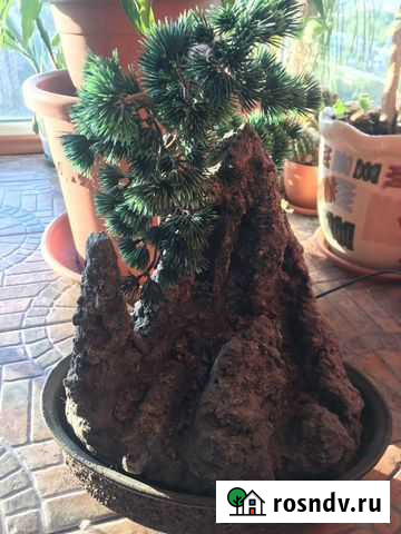 Увлажнитель воздуха Санкт-Петербург - изображение 1