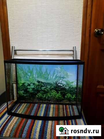 Аквариум Балахна - изображение 1